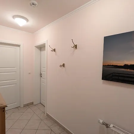 Windflüchter * Born