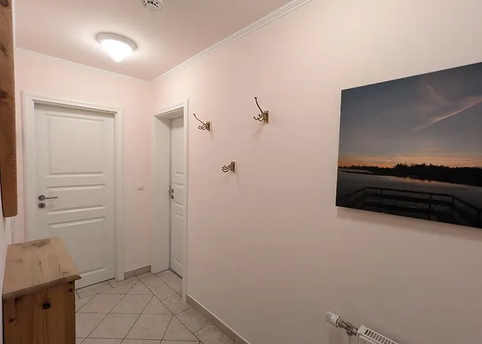 Windflüchter * Born